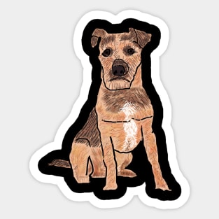 Patterdale Terrier Sticker